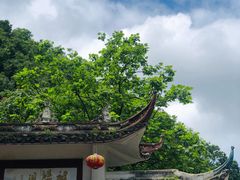 -黔灵山公园