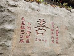 -天女山森林公园