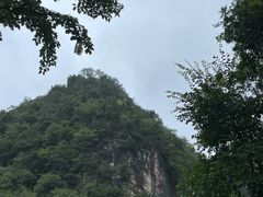 -黔灵山公园