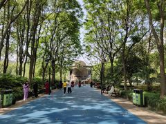 -苏州河梦清园环保主题公园