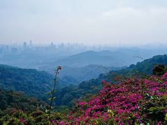 -广州市白云山风景名胜区