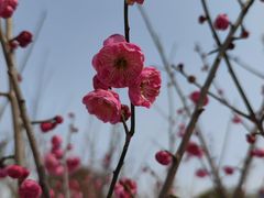 -沙市市中山公园
