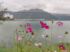 -雷波马湖风景区