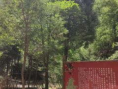 -红豆峡