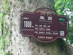 -张坝桂圆林公园