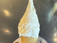 -野人牧坊Gelato(天津南开大悦城店)