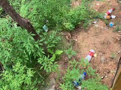 -野三坡刘家河高山漂流