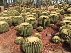 -南通洲际绿博园