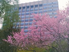 -建国门(地铁站)