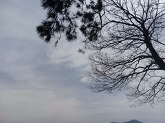 -香雪海