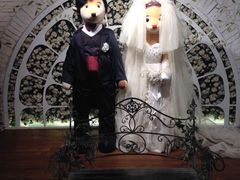 -济州岛泰迪熊博物馆