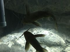 -苏州海洋馆