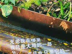 -橡皮书店(翠湖北路店)