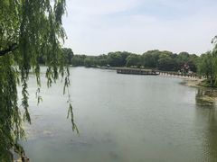 -上海鲜花港