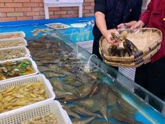 -日进一片海.生腌海鲜火锅.宵夜烧烤(三里屯总店)
