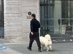-上海崇明金茂凯悦酒店