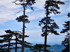 -安徽天堂寨风景区