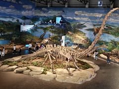 -自贡恐龙博物馆