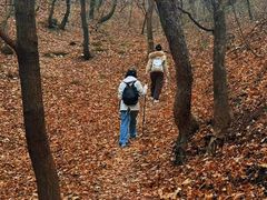 -玉渡山自然风景区