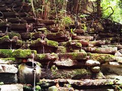 -老木棉·匠园