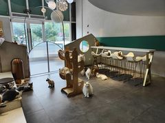 -飞行喵MR PILOT|猫舍·猫咖(静安大融城店)