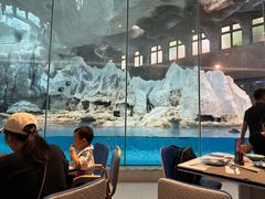 -帝企鹅自助餐厅•儿童岛•真企鹅(长隆企鹅酒店)