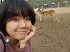 -北京麋鹿生态实验中心