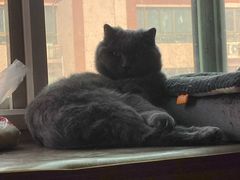 -北京博爱动物医院有限公司