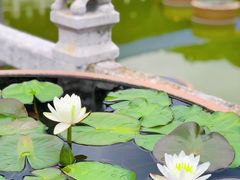-圆通禅寺