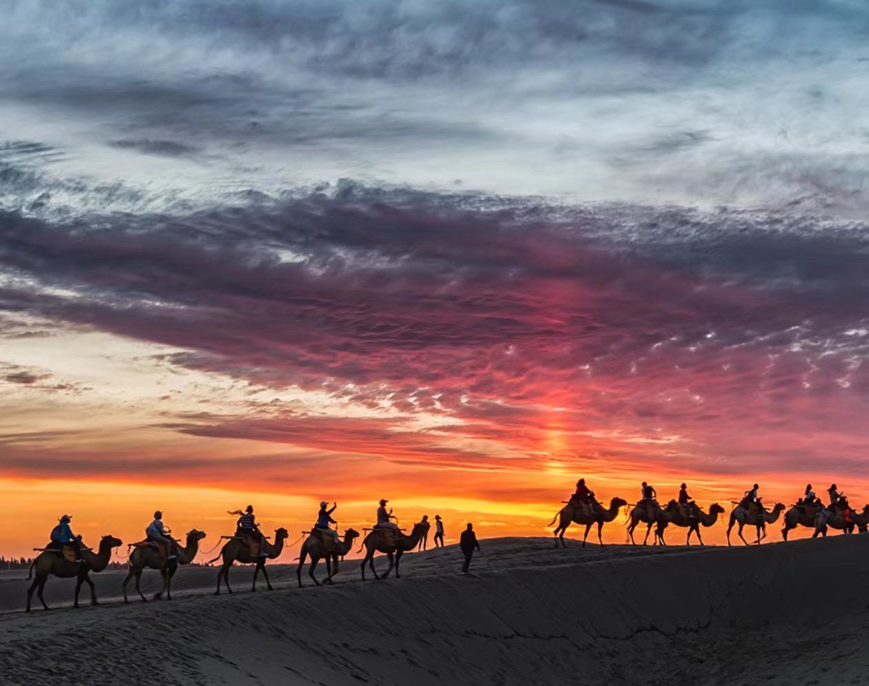 看夕阳,骑骆驼,住民宿,不错的选择,卫生干净
