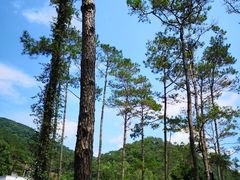 -福清灵石山国家森林公园