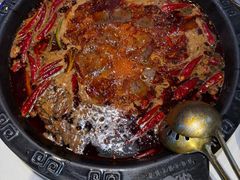 -卤校长老火锅(杨家坪直营店)