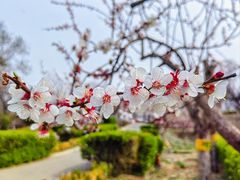 -北宫国家森林公园