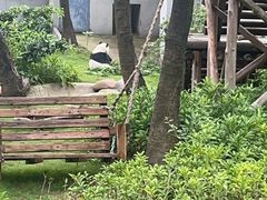 -柳州市动物园