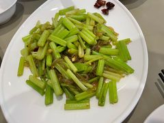 -大连北马山庄