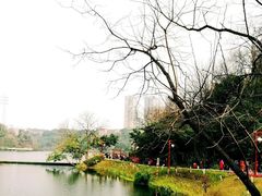 -重庆彩云湖湿地公园