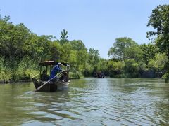 -溱湖国家湿地公园