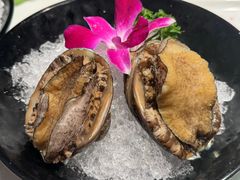 -海月轩海鲜豆捞(紫金塔店)