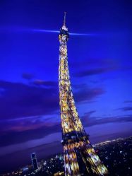 -翱翔飞越地平线