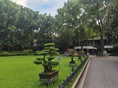-申粤轩酒楼·三十年粤菜经典(丁香花园店)