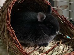 -龙猫仔乐园(惠福东路店)