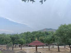 -石家庄市动物园