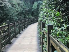 -凤栖山
