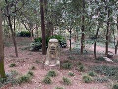 -狼山风景名胜区