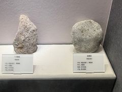 -贵州省地质博物馆