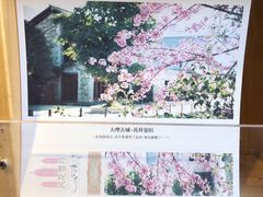 -三生有信(大理古城店)