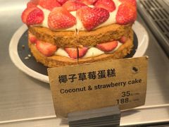 -Wagas沃歌斯(信泰中心商场店)