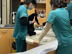-联合动物医院(光谷诊疗中心)