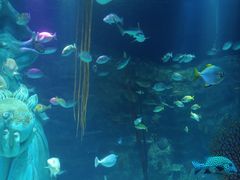 -沈阳海洋探索中心