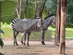 -北京野生动物园